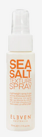 Sea Salt Texture Spray By Eleven mini